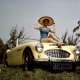 AH 3000 Bonnet.- BMC dayjpg