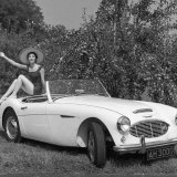 Austin Healey 3000 side