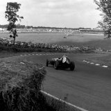 RF 288 - 17 D Taylor - Lotus