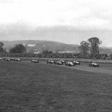 RF 503 - Lavant Cup